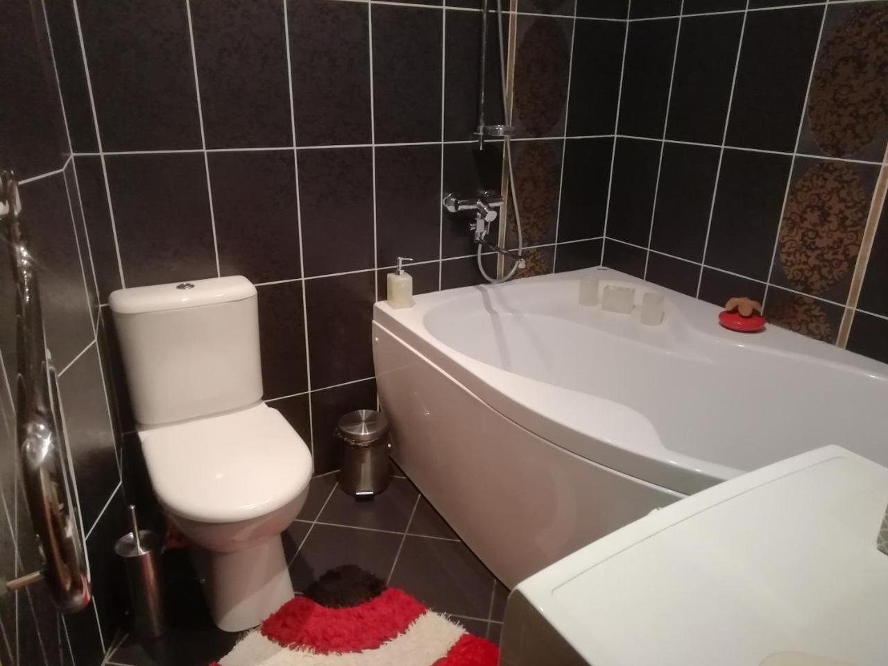 Justinos Apartamentai Panevezyje Panevėžys エクステリア 写真