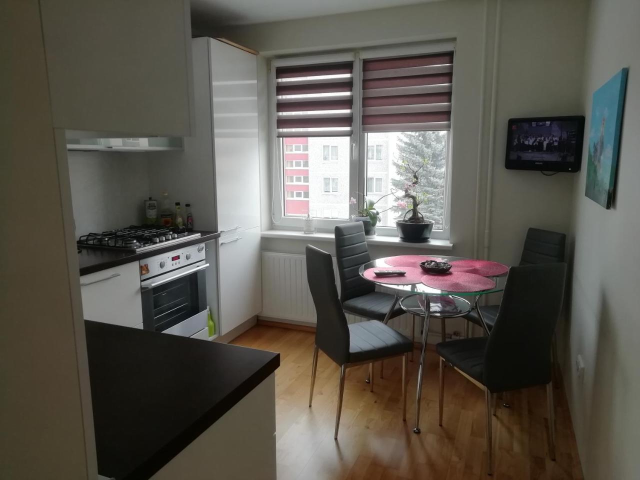 Justinos Apartamentai Panevezyje Panevėžys エクステリア 写真